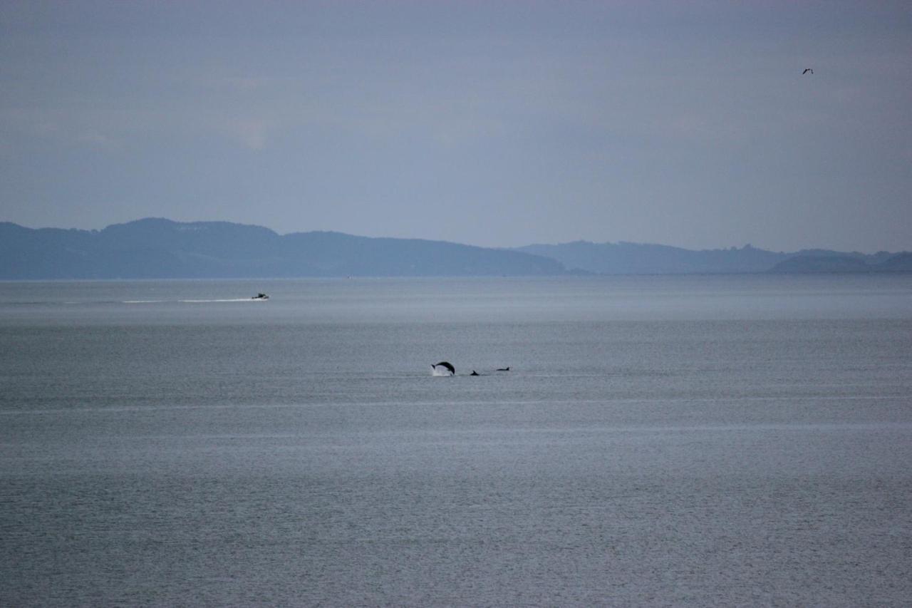 Tapu Te Mata Bay Seaviews Bed & Breakfast エクステリア 写真